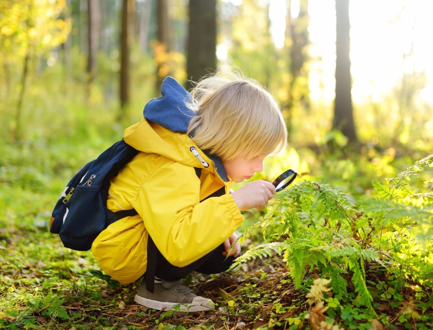 A boy using a magnifying glass in the woods.