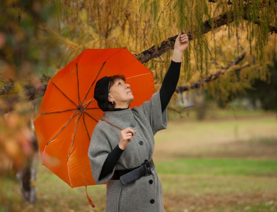 A woman under an umbrella.